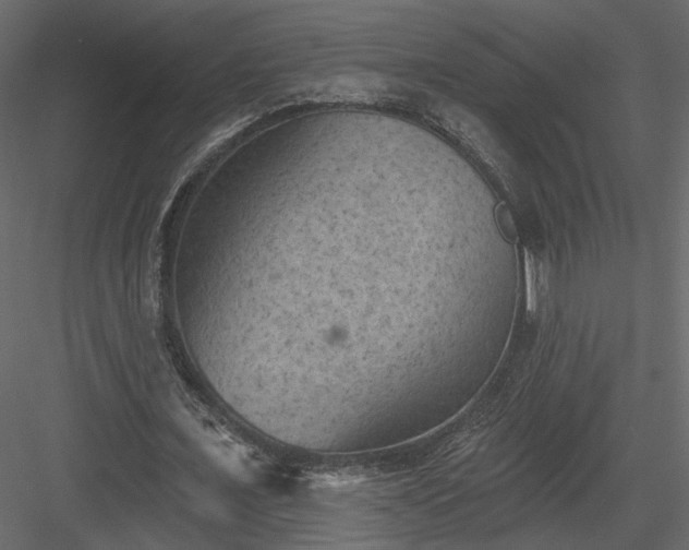 X0000084050675200702232352