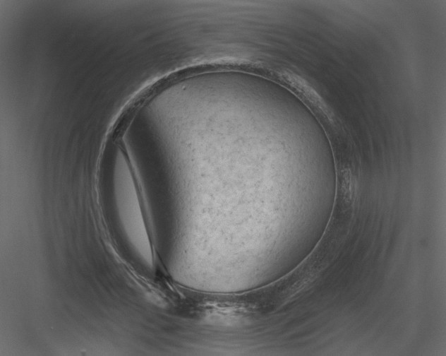 X0000084050676200702232352