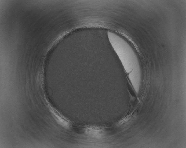 X0000084050677200702232352