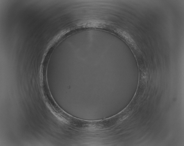 X0000084050678200702232352