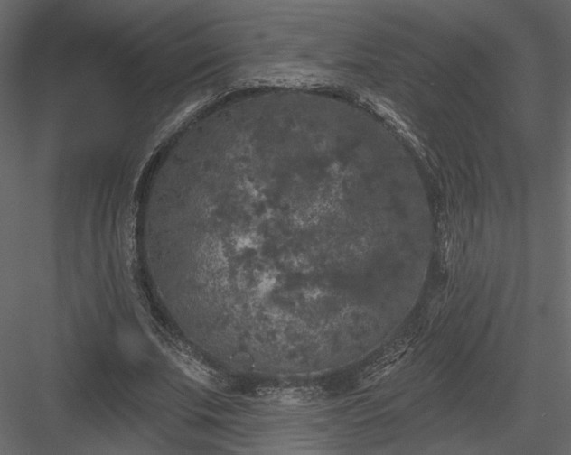 X0000084050679200702232352