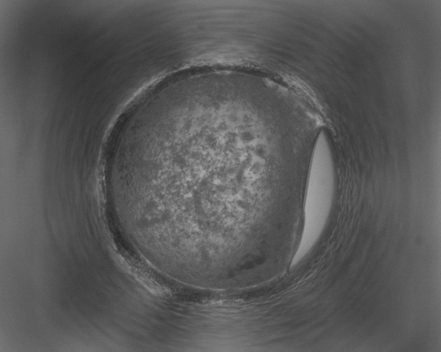 X0000084050680200702232352