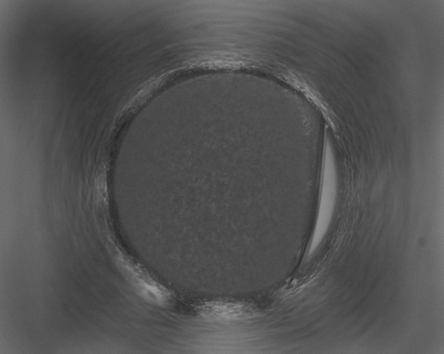 X0000084050681200702232352