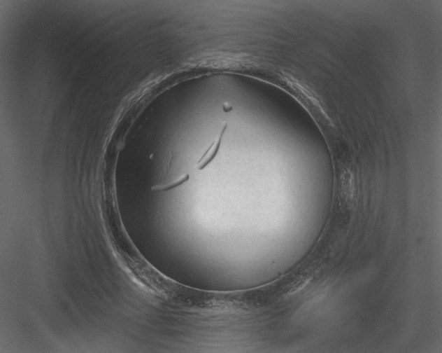 X0000084050682200702232352