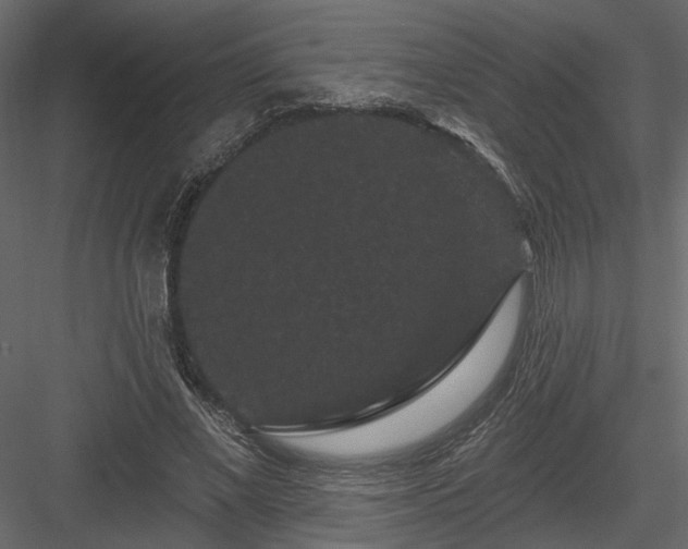 X0000084050685200702232352