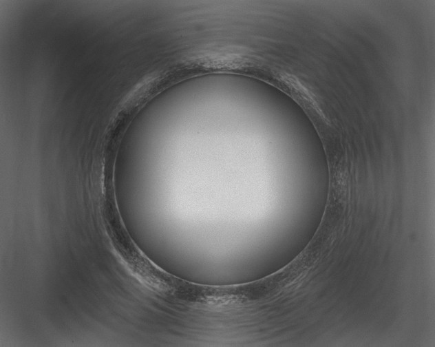 X0000084050686200702232352