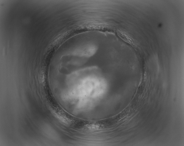 X0000084050687200702232352