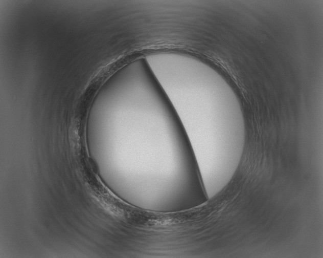 X0000084050688200702232352