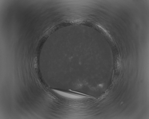 X0000084050689200702232352