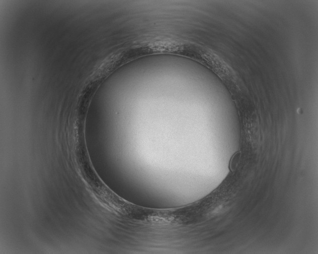 X0000084050690200702232352