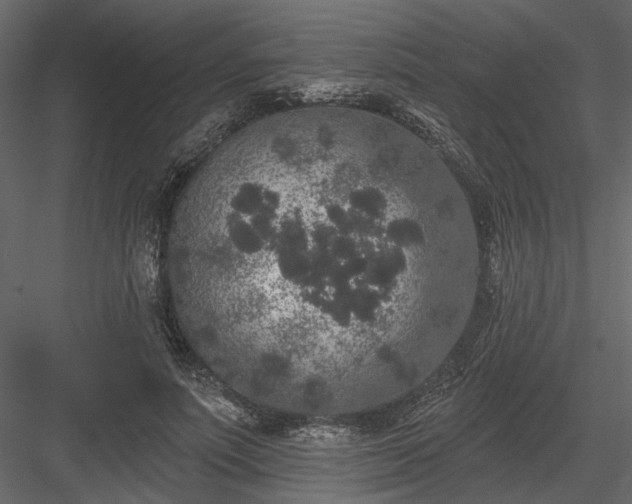 X0000084050691200702232352