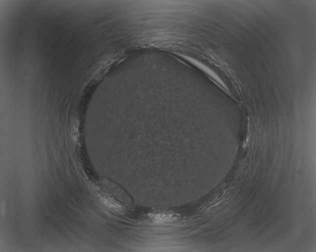 X0000084050693200702232352