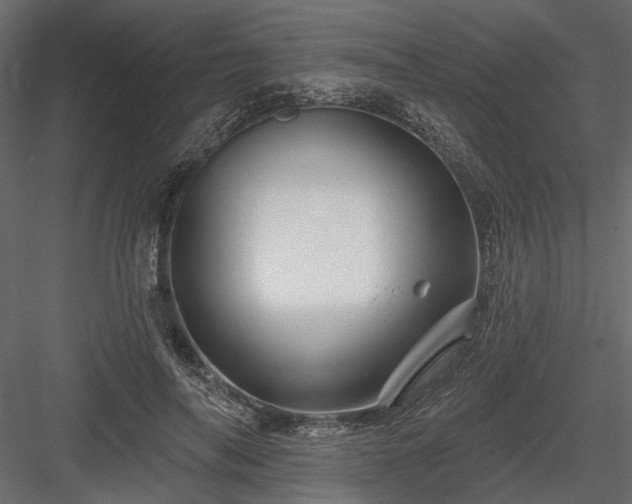 X0000084050694200702232352