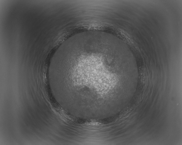 X0000084050695200702232352