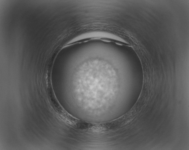 X0000084050696200702232352