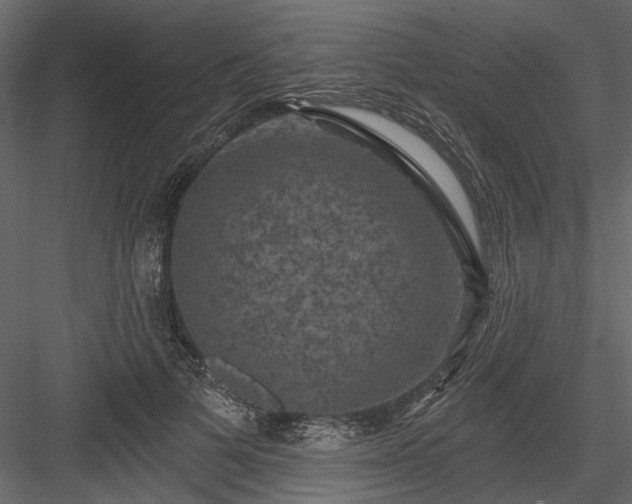 X0000084050697200702232352