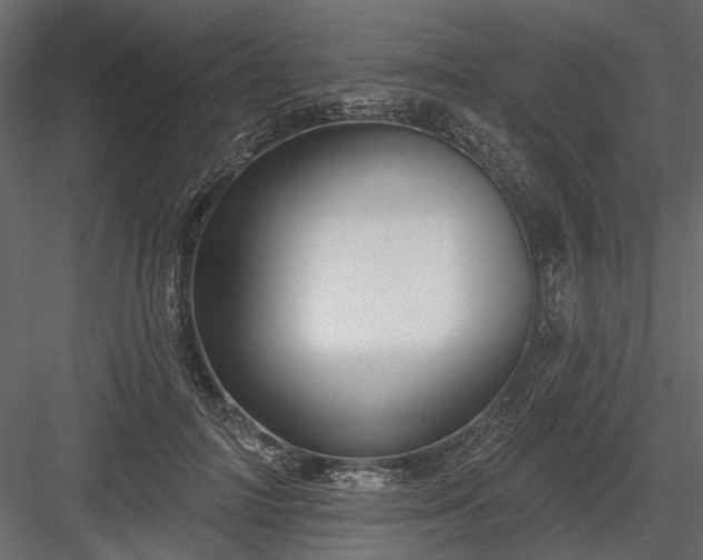 X0000084050698200702232352