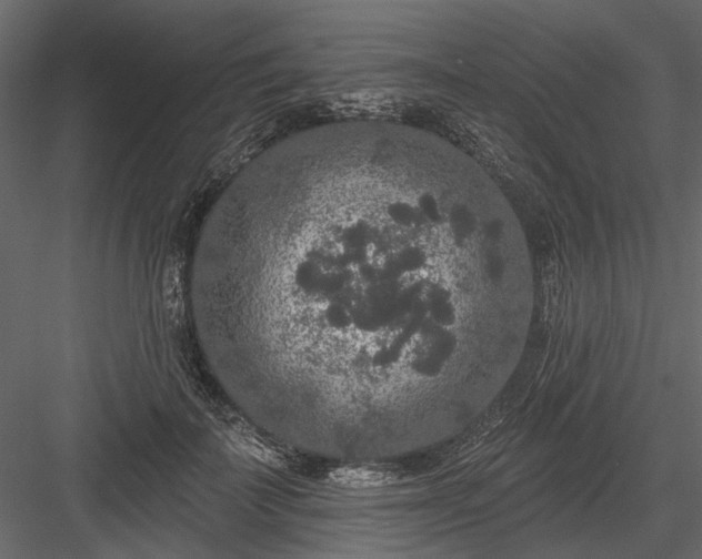 X0000084050699200702232352