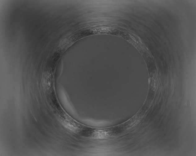 X0000084050701200702232352