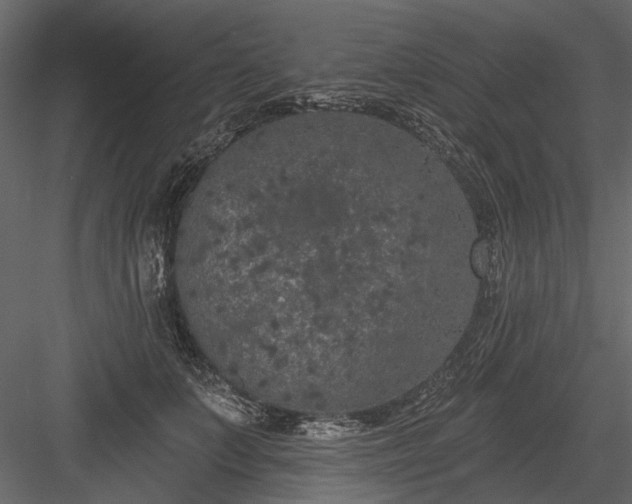 X0000084050703200702232351