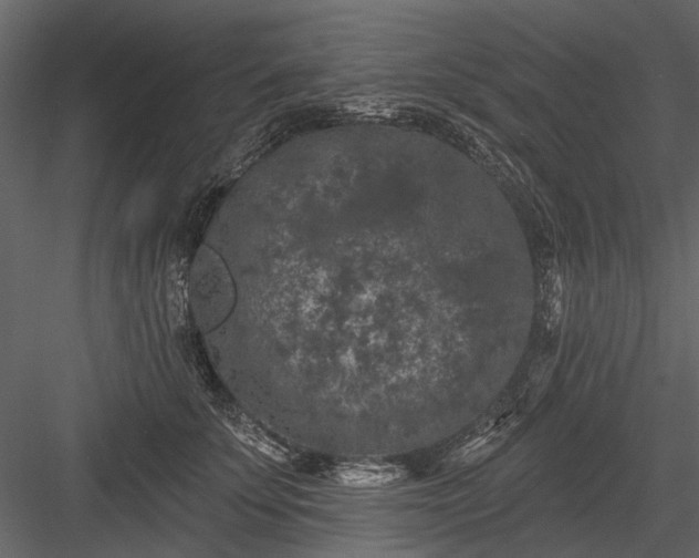 X0000084050707200702232351