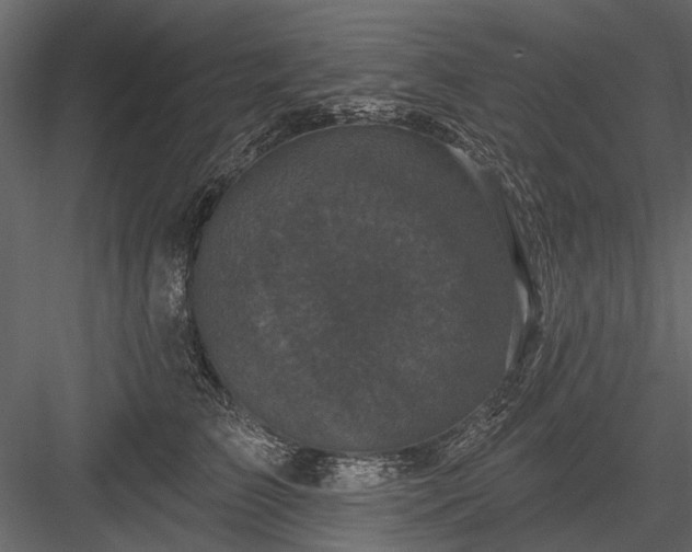 X0000084050709200702232351