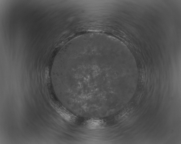 X0000084050711200702232351