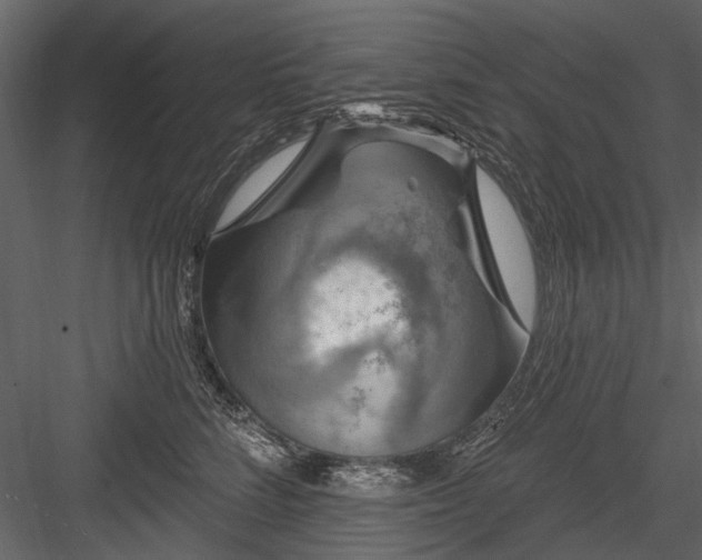 X0000084050712200702232351