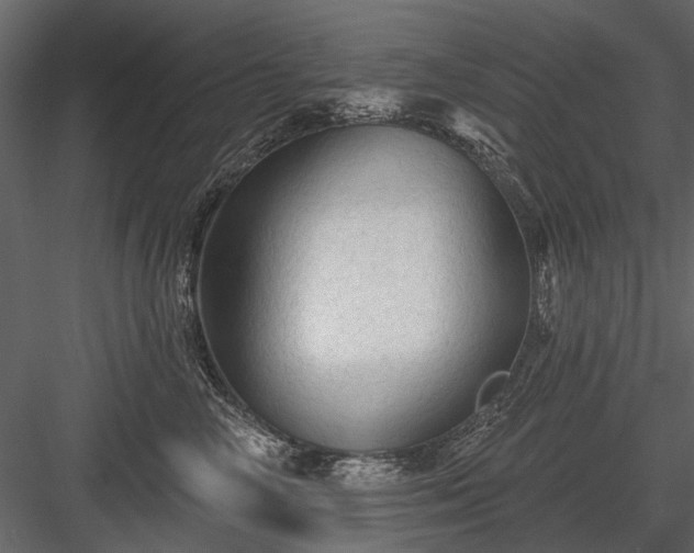 X0000084050714200702232351