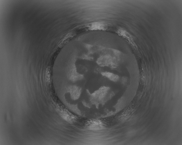 X0000084050715200702232351