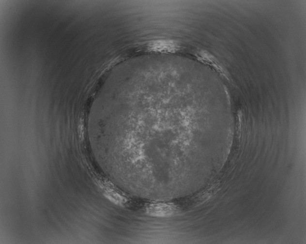 X0000084050716200702232351