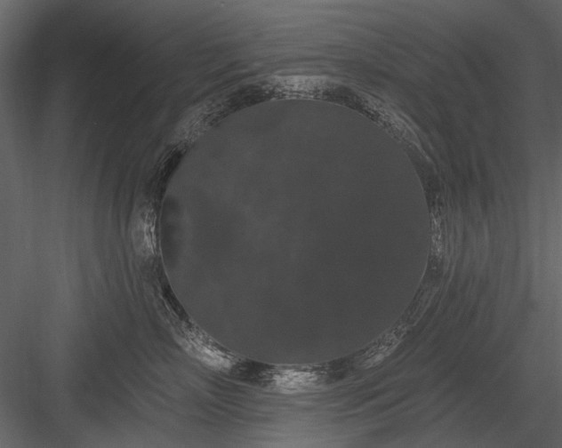 X0000084050718200702232351