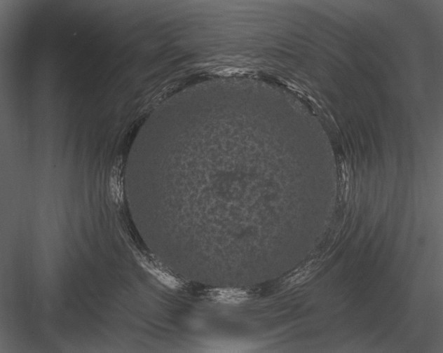 X0000084050719200702232351