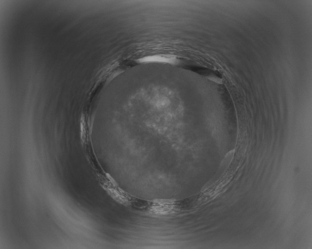 X0000084050720200702232351