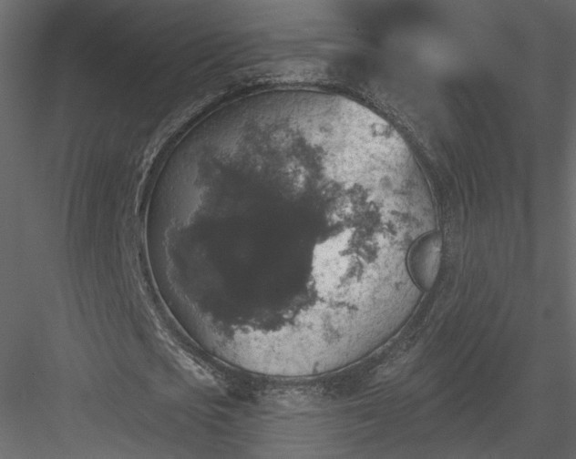 X0000084050721200702232350