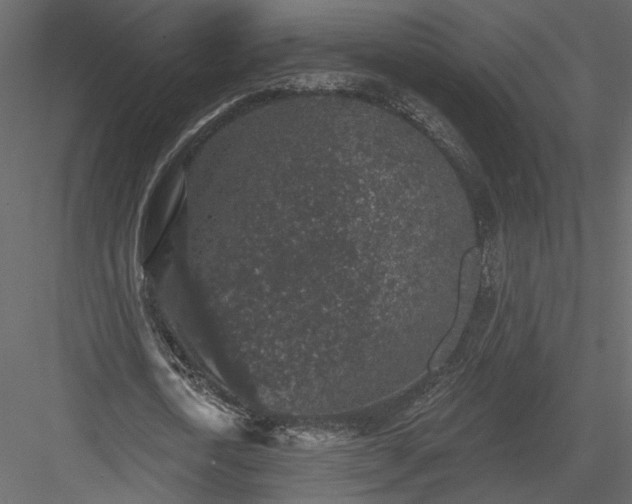 X0000084050722200702232350