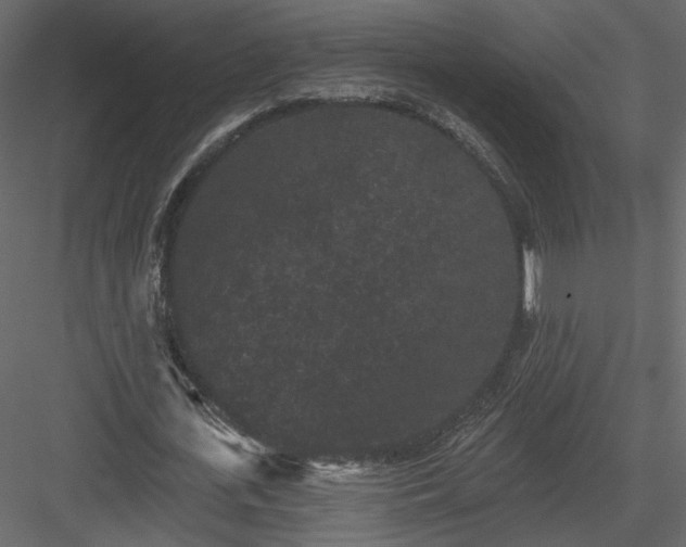 X0000084050723200702232350