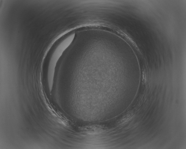 X0000084050724200702232350