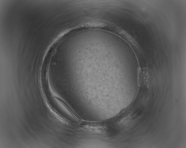 X0000084050726200702232350