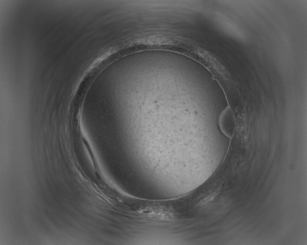 X0000084050727200702232350