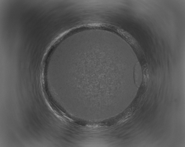 X0000084050728200702232350