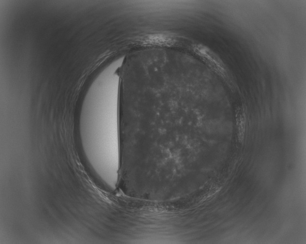 X0000084050729200702232350