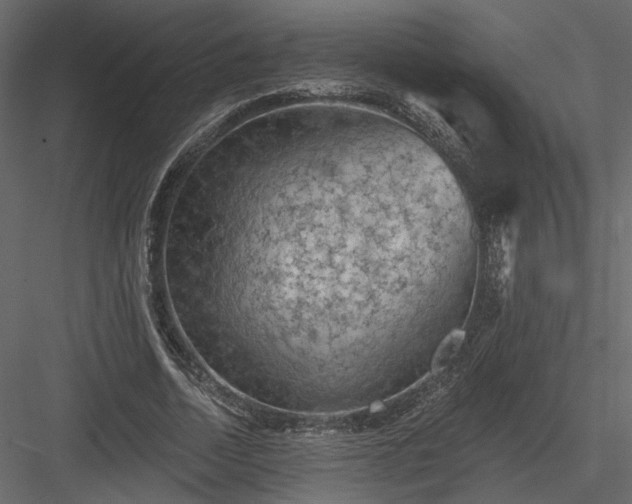 X0000084050730200702232351