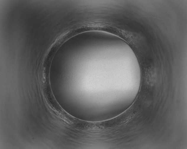 X0000084050731200702232351