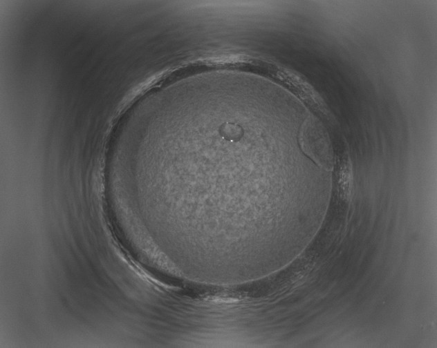 X0000084050732200702232351