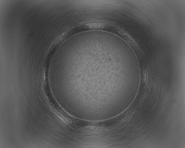 X0000084050733200702232351