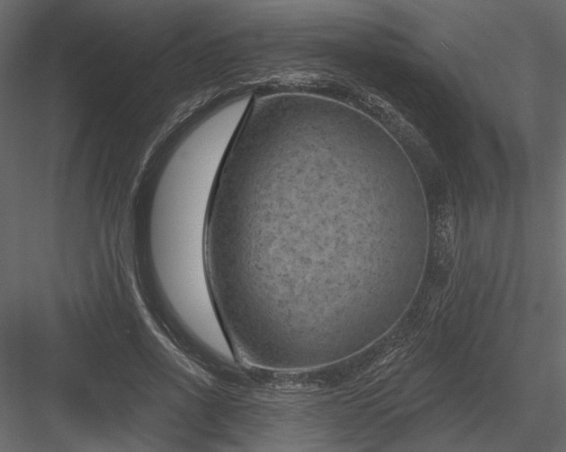 X0000084050734200702232351