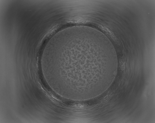 X0000084050735200702232351