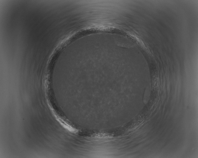 X0000084050736200702232351