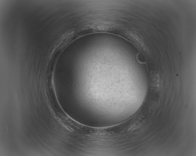 X0000084050738200702232351